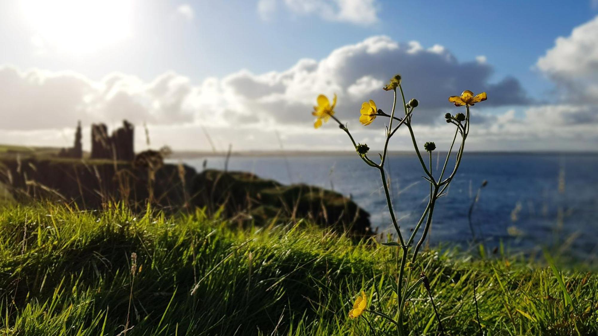 Self-Catering Lighthouse Keeper'S Cottage On The Nc500 Wick  Esterno foto